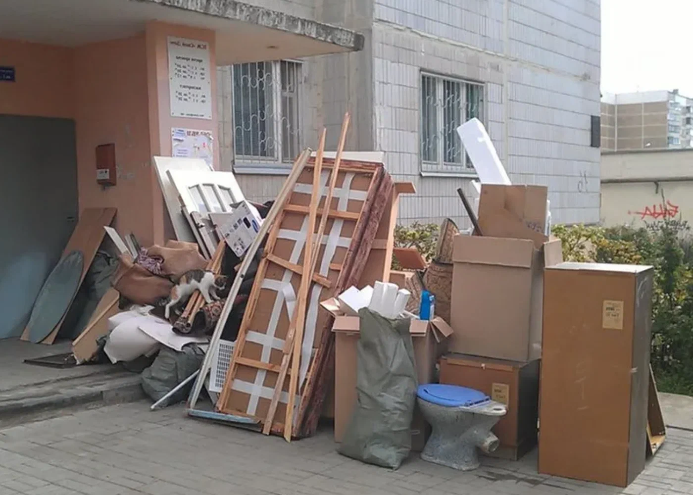 Профессиональный вывоз мусора из квартиры в Балахне в октябре
