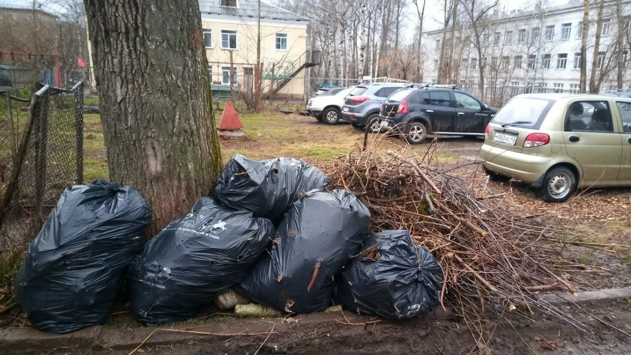 Вывоз мусора после субботника в Балахне от ПроМусор – уборка и утилизация отходов от 2455 руб