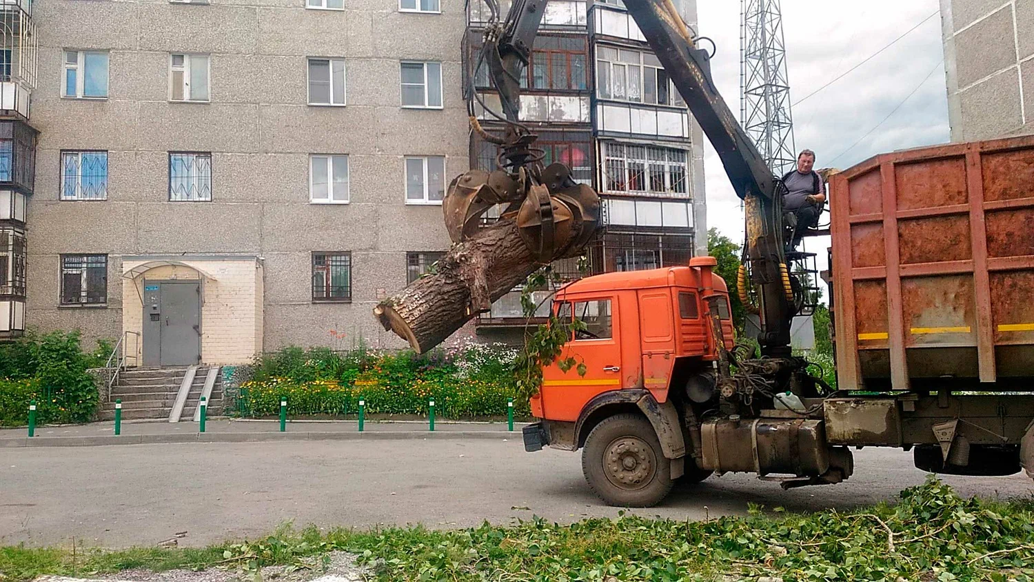 Вывоз спиленных веток и деревьев в Балахне от ПроМусор: порубочные остатки, утилизация, цена от 3030 руб