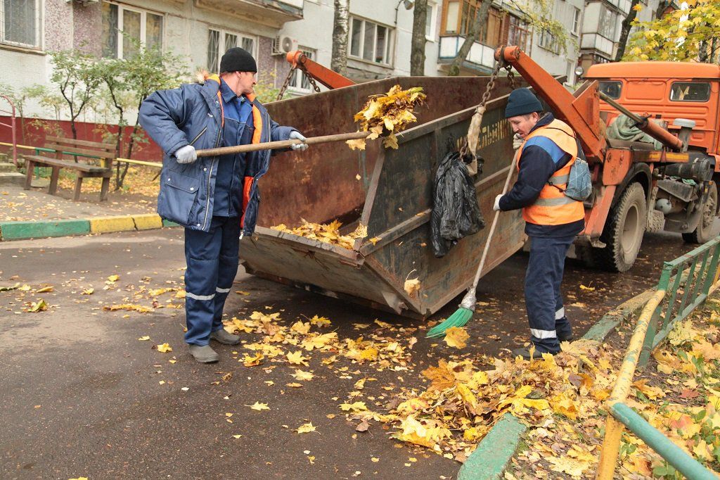 Вывоз опавшей листвы и растительного мусора в Балахне от ПроМусор – цена от 4702 руб., быстрая уборка и утилизация